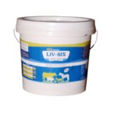 LIV-SIX Weight Gainer – 5kg